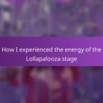 How I experienced the energy of the Lollapalooza stage